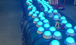 2026年广东热门的LED数码管定制厂家 实力参考