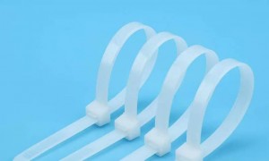 2026年广东耐高温扎带老牌厂家哪家好质量参考评选