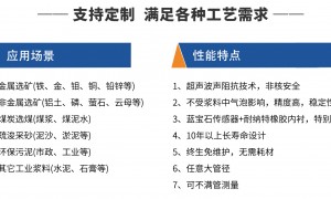 2026江苏声阻抗矿浆浓度计生产厂家行业从业资质等级排行