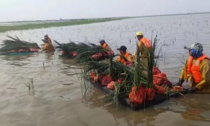 人工浮岛厂家哪个创新能力强、人工浮岛厂家哪个服务好、人工浮岛供应企业哪家专业，行业现状与选择指南