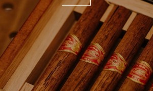 豪宅酒窖设计定制方案怎么选？资深设计服务商用户力荐