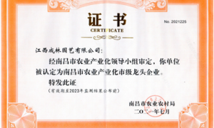 设计能力强的庭院花园设计施工团队盘点，行业现状与选择指南