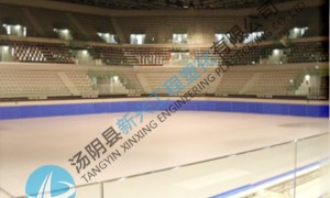 2026年安阳聚乙烯仿真冰板老牌厂家合作实力参考