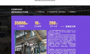 减震脚轮源头厂家选择哪家好 2026年实力生产厂家参考汇总