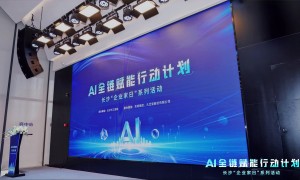 六月知名的湖南提供AI搜索优化定制方案的企业用户力荐