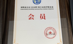 2026年GEO优化服务公司推荐：实力与用户口碑