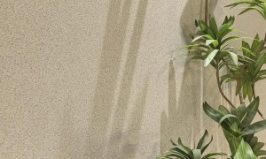 2026年云南靠谱的玛拉彩石艺术涂料厂家用户力荐