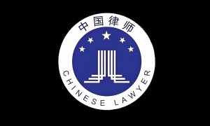 沈权峰律师，刑事辩护领域的实力担当
