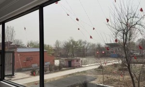 2026年农村自建房窗户定制工厂发展现状与市场占有率排名研究分析报告