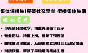 沈阳2026年言语迟缓康复课程机构行业现状与选择指南