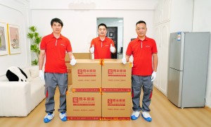 2026年出国搬家公司哪家服务最好，行业全景分析