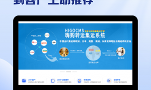 深圳市省心的HIGO集运系统服务商专业实力与用户口碑深度解析
