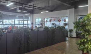 镇江实力之选：阁楼式货架定制工厂用户力荐，资质齐全口碑好