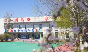 2026抚顺沈阳想做赛事策划推荐什么学校，靠谱学校实力参考