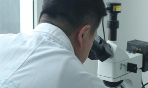 杭州氧化锆生产厂家实力盘点：氧化镁氧化铈制造厂家合作实力参考
