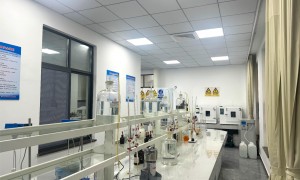 湖州焦磷酸钾有质量追溯体系的生产厂，川磷化工水处理专用磷酸盐，行业全景分析