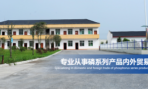 多聚磷酸精细化工合成原料源头工厂推荐