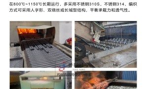 2026年江苏耐热网带制造厂哪家专业、高温网带加工厂选哪家好、耐热网带制造企业选择哪家好实力参考