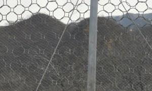 2026年成立十年以上的边坡防护网源头厂家客户口碑力荐