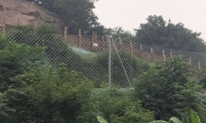 2026年正规的被动边坡防护网供应商综合实力推荐