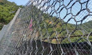2026年有实力的边坡防护网企业甄选：诚信源头厂家批量定制实力参考