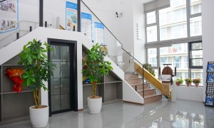 江苏适老化改造楼道电梯公司有哪些 可折叠踏板与别墅定制厂家实力参考