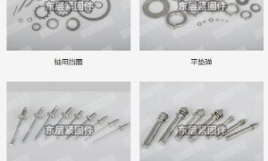 宁波口碑好的不锈钢螺丝供应商、口碑好的不锈钢螺丝工厂用户力荐