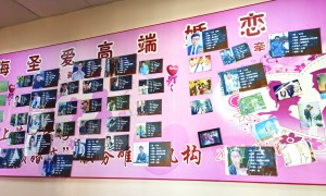 2026年婚姻介绍所行业现状与选择指南，靠谱机构怎么选