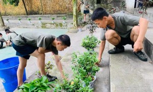 汇总宁夏重庆贵州管理早恋孩子学校，树桥素质拓展基地口碑良好