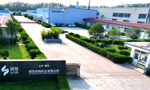 河南噬菌体效价高稳定供货厂家联系方式、推荐弧菌噬菌体代工贴牌工厂、噬菌体研发厂商哪家好实力参考