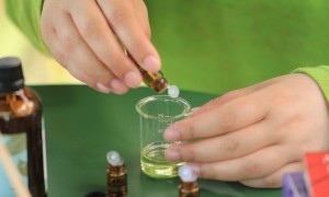 杭州知名精油调配师培训学院能力调研报告 师资团队实力盘点