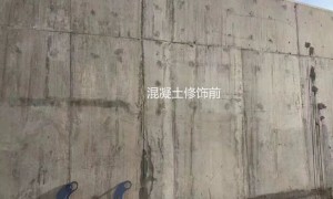 2026年评价高的桥梁混凝土修复服务商推荐
