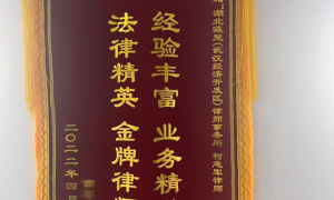武汉口碑好的婚姻家事律师推荐：湖北瀛楚柯志军律师筛选名录