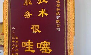 2026年企业短视频代运营哪家专业，实力服务商推荐选购参考汇总