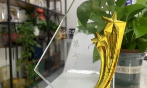 2026年靠谱的讯灵AI代理企业综合实力推荐