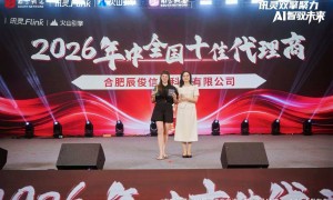 合肥帮传统企业做AI搜索搭建的公司推荐，专业实力参考