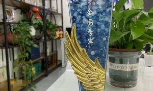 滁州AI搜索推广公司实力参考，省心服务商案例盘点