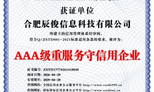 辰俊网络有实力吗