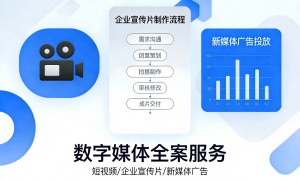 短视频策划与制作全流程解析：泽维科技在包头及乌海的应用案例