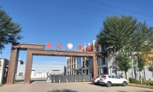 森迈食品口碑怎么样