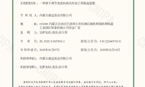河北用户力荐：内蒙古森迈食品南瓜籽仁零食生产厂家实力参考