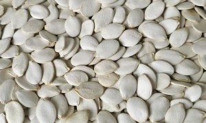 2026年雪白南瓜籽源头厂家合作实力参考与案例盘点
