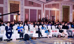 北京意大利单团地接服务商推荐，庞贝古城导游实力盘点