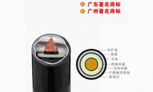 2026年佛山预分支电缆制造厂哪家专业，用户口碑力荐