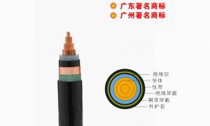 广州电缆大型厂家、不错的电缆工厂、电缆专业制造商价格公道不玩套路