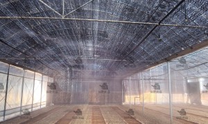 2026年甄选的喷雾降温加湿主机生产厂家团队实力测评