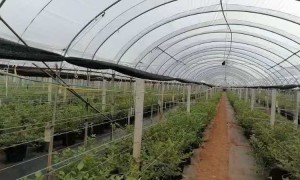 2026年适合长期铺设的抹茶遮阳网，成立多年的生产厂家用户力荐