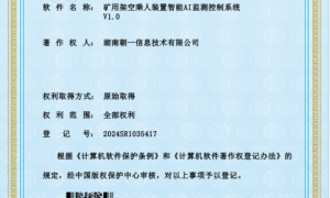 有没有能识别违规行为的煤矿井口猴车入井人数AI监察识别系统的公司，实力参考