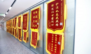 河北交通肇事罪辩护律师事务所靠谱商家测评，元甲律所服务不踩坑指南