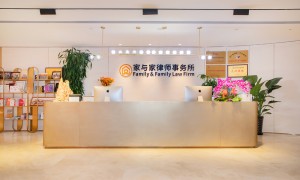 2026年上海徐汇区离婚律师机构，推荐擅长抚养权官司的靠谱律师团队